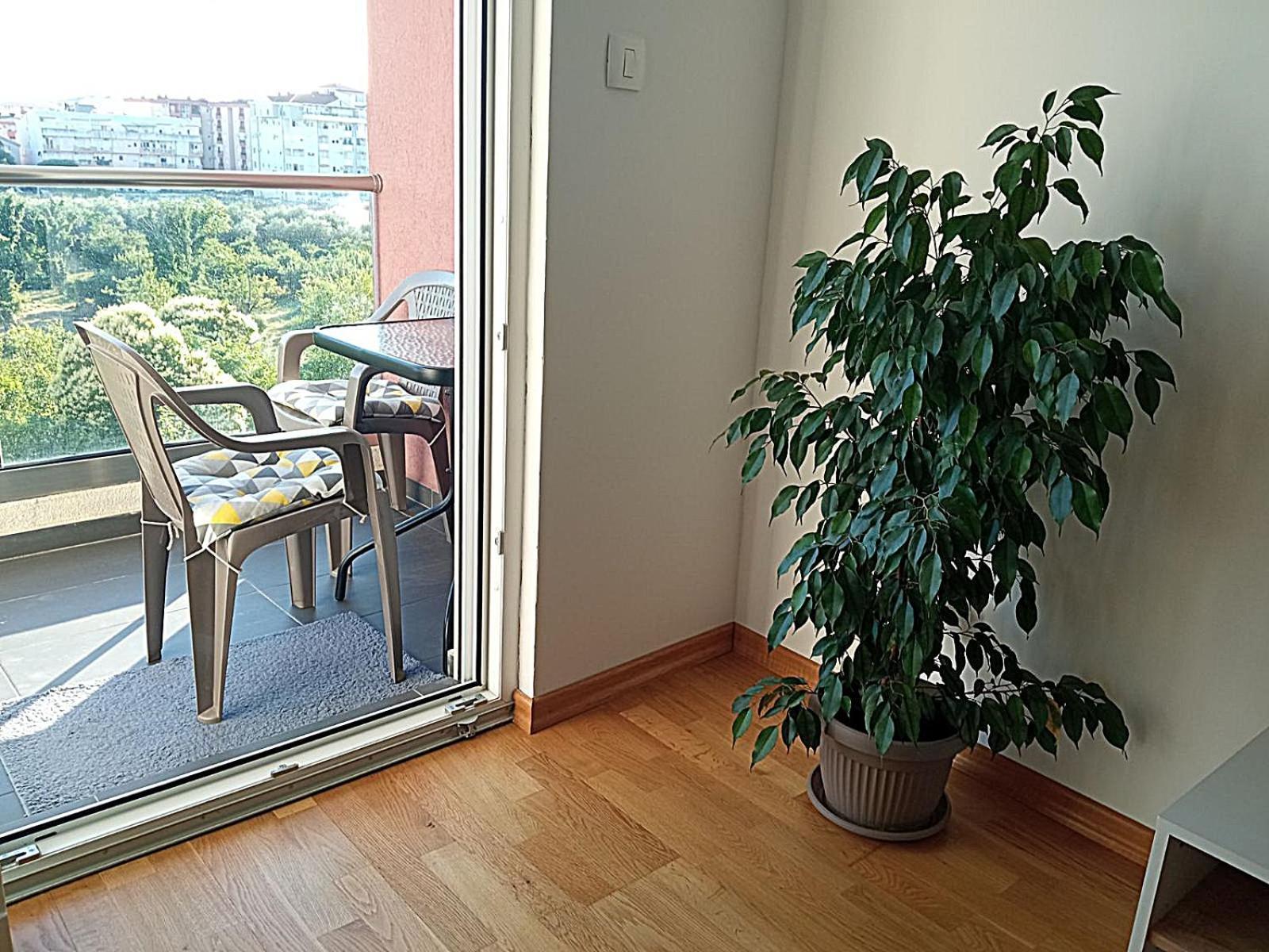 Renta Apartman Podgorica Eksteriør billede